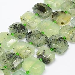 Natural Prehnite Beads Strands, Faceted, Rectangle, 21~25x16~20x8~10mm, Hole: 1.5mm, about 19pcs/strand, 14.9 inch(38cm)(G-P322-08D)