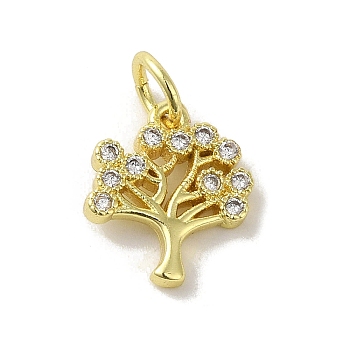 Brass Micro Pave Cubic Zirconia Charms, Real 18K Gold Plated, Tree of Life Charms, Clear, 12x10x1.5mm, Hole: 3mm