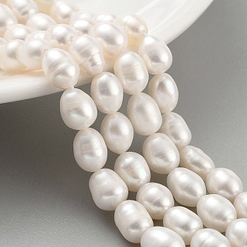 Natural Cultured Freshwater Pearl Beads Strands, Rice, Grade 3A, White, 7~8mm, Hole: 0.6mm, about 21~22pcs/strand, 6.89''~7.09''(17.5~18cm)