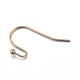 Iron Earring Hooks(IFIN-T001-05AB-NF)-2