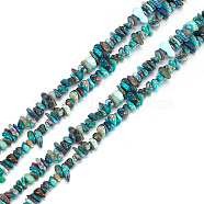 2 Strands Natural Chrysocolla Beads Strands, Chips, 4~12x4~12mm, Hole: 1mm, about 15.74 inch(G-GO0001-40)