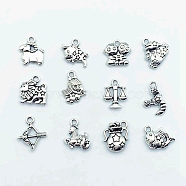 Alloy Pendants, Cadmium Free & Lead Free, 12 Constellations, Antique Silver, 10mm, 12pcs/set(PALLOY-TAC0013-15AS-RS)