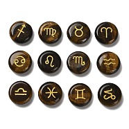 12 Constellation Natural Tiger Eye Cabochons Set, Golden Metal Enlaced Flat Round, 18.5x6.5mm, 12pcs/set(G-Q190-03H)