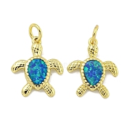 Synthetic Opal Pendants, Rack Plating Brass Turtle Charms with Jump Rings, Cadmium Free & Lead Free, Long-Lasting Plated, Golden, 16.5x13.5x2mm, Hole: 3mm(KK-E114-03G)