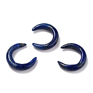 Natural Lapis Lazuli Beads, No Hole, for Wire Wrapped Pendant Making, Double Horn/Crescent Moon, 31x28x6.5mm(G-J366-10)