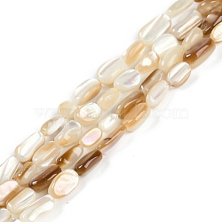 Natural Seashell Beads Strands, Nuggets, Floral White, 5~9.5x4~6.5x3~4.5mm, Hole: 0.5mm, about 97~99pcs/strand, 30.04''(76.3cm)(BSHE-H109-09)