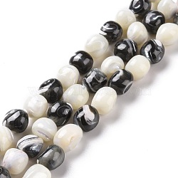 Natural Trochid Shell Beads Strands, Mixed Dyed and Undyed, Round, White, Black, 8~9x7.5~9.5x7.5~9.5mm, Hole: 0.8mm, about 45pcs/strand, 15.35~15.55 inch(39~39.5cm)(SSHEL-G023-04C)