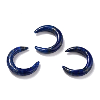 Natural Lapis Lazuli Beads, No Hole, for Wire Wrapped Pendant Making, Double Horn/Crescent Moon, 31x28x6.5mm