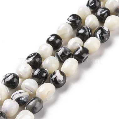 Black Round Trochus Shell Beads