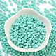 Baking Paint Glass Seed Beads(SEED-A032-02C)-2