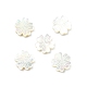 5Pcs Natural White Shell Beads(BSHE-CJ0001-11)-1
