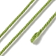 Polyester Twisted Cord(OCOR-G015-01A-09)-1