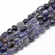 Natural Cordierite/Iolite/Dichroite Beads Strands, Oval, 6~10x4~7x4~7mm, Hole: 1mm, about 43~62pcs/strand, 15.7 inch(G-R445-6x8-33)