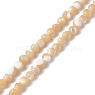Natural Trochid Shell/Trochus Shell Beads Strands, Round, BurlyWood, 2~2.5mm, Hole: 0.7mm, about 175pcs/strand, 15.24 inch(38.7cm)(SSHEL-S266-023B-07)
