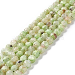 Assembled Natural Green Fluorite & Selenite Beads Strands, Round, 8mm, Hole: 1.2mm, about 50pcs/strand, 15.94''(40.5cm)(G-K317-A16)