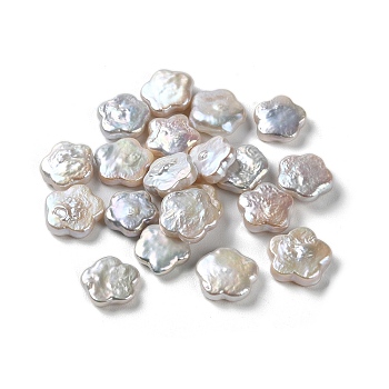 Natural Keshi Pearl Cultured Freshwater Pearl Beads, No Hole, Baroque Pearls, Flower, WhiteSmoke, 10.5~11.5x10.5~11.5x2.5~3mm