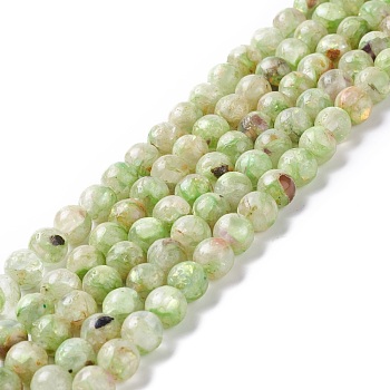 Assembled Synthetic Green Fluorite and Selenite Beads Strands, Round, 8mm, Hole: 1.2mm, about 50pcs/strand, 15.94''(40.5cm)