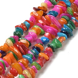 Natural Shell Beads Strands, Dyed, Nuggets Chips, Colorful, 5~13.5x5~8x1.5~6.5mm, Hole: 1mm, about 282pcs/strand, 31.30 inch(79.5cm)(BSHE-G029-01A)
