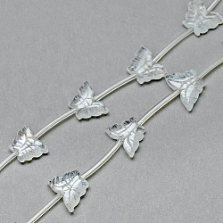 Natural Quartz Crystal Beads Strands, Rock Crystal Beads, Butterfly, 10~13x13~17x3~5mm, Hole: 0.5~1mm, about 14pcs/strand, 15.55 inch(X-G-T014-06)