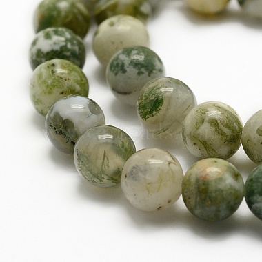 Chapelets de perles en agate d'arbre naturelle(G-G735-02-8mm)-3