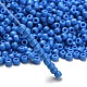 TOHO 6/0 Round Beads(SEED-XTR06-0043D)-2