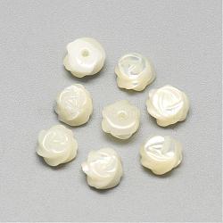 Natural White Shell Mother of Pearl Shell Cabochons, Flower, Seashell Color, 7x4mm(SSHEL-R042-10)