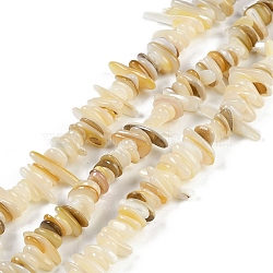 Natural Trochus Shell Beads Strands, Chip, Light Yellow, 7~19x4~8.5x1~3mm, Hole: 0.7mm, 13.39~14.96''(34~38cm)(BSHE-H109-08)