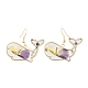 Alloy & Dried Flower Dangle Earrings(AL-Z001-05G)-4