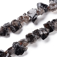 Natural Smoky Quartz Beads Strands, Top Drilled Beads, Rough Raw Stone, Nuggets, 7~15x12~22x5~13mm, Hole: 1.2mm, about 20~21pcs/strand, 7.48 inch~7.87  inch(19~20cm)(G-I283-D01)