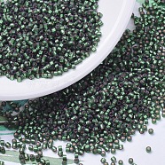 MIYUKI Delica Beads, Cylinder, Japanese Seed Beads, 11/0, (DB0690) Dyed Semi-Frosted Silver Lined Leaf Green, 1.3x1.6mm, Hole: 0.8mm, about 2000pcs/10g(X-SEED-J020-DB0690)