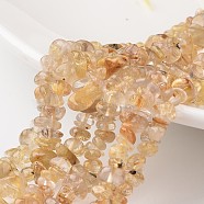 Chip Natural Gold Rutilated Quartz Bead Strands, Grade A+, 7~12x5~8x2~5mm, Hole: 1mm, about 15.7 inch(G-M349-01)