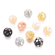 Natural Mixed Shell Beads, Round, Mixed Color, 8.5mm, Hole: 1mm(SSHEL-T014-37-8mm)