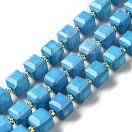 Natural Howlite Beads Strands, Dyed, Faceted, Cube, Deep Sky Blue, 7.5x8x7.5mm, Hole: 1.2mm, about 40pcs/strand, 15.63 inch(39.7cm)(G-C025-01B)