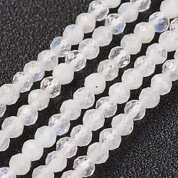 Natural Rainbow Moonstone Bead Strand, Round, Faceted, 3mm, Hole: 0.8mm, about 127pcs/strand, 15.7 inch(40cm)(X-G-G680-53)