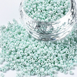 Glass Seed Beads, Baking Paint, Round Hole, Round, Pale Turquoise, 2~3x1.5~2mm, Hole: 0.8mm, about 450g/Pound(SEED-S060-A-973)