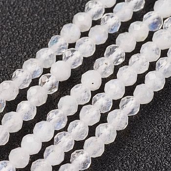 Natural Rainbow Moonstone Bead Strand, Round, Faceted, 3mm, Hole: 0.8mm, about 127pcs/strand, 15.7 inch(40cm)