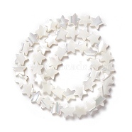 Natural Trochid Shell/Trochus Shell Beads, Star, Seashell Color, 10x11x2.5~3mm, Hole: 0.8mm, about 46pcs/strand, 15.91 inch(40.4cm)(SSHEL-O001-25C-02)