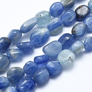 Natural Kyanite/Cyanite/Disthene Bead Strands, Tumbled Stone, Nuggets, 5~8mm, Hole: 0.8mm, about 45~47pcs/strand, 15.7 inch(40cm)(G-E483-46)