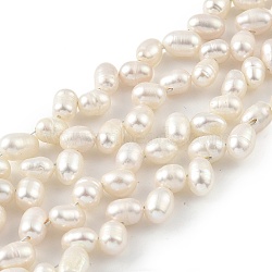 Natural Cultured Freshwater Pearl Beads Strands, Top Drilled, Rice, Old Lace, 5~6mm, Hole: 0.5mm, about 35pcs/strand, 7.87 inch(20cm)(PEAR-A006-22)