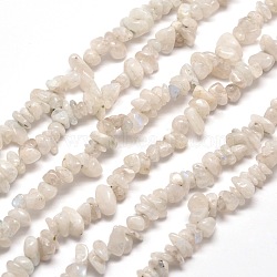 Natural Rainbow Moonstone Chip Bead Strands, 5~8x5~8mm, Hole: 1mm, about 31.5 inch(X-G-M205-62)