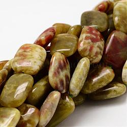 Rectangle Natural Dragon Blood Jasper Beads Strands, 18x13x6mm, Hole: 1mm, about 22pcs/strand, 15.75 inches(G-K072-02D)