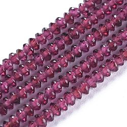 Natural Garnet Beads Strands, Faceted, Bicone, 2.8~3.2x1.5~2.2mm, Hole: 0.7mm, about 226pcs/strand, 15.35 inch(39cm)(G-E560-R12-01)