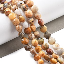 Natural Crazy Agate Beads Strands, Faceted, Flat Round, 6~7.5x4~5.5mm, Hole: 0.8~1mm, about 56~70pcs/strand, 15.31~16.10 inch(38.9~40.9cm)(G-C179-A22-02)