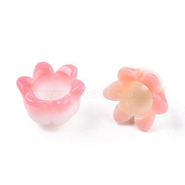 Natural Shell Bead Caps(SSHEL-N032-57B)-5