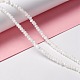 Natural Trochid Shell/Trochus Shell Beads Strands(SSHEL-O001-24B-02)-5