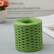 Raffia Ribbon, Packing Paper String, Raffia Twine Paper Cords for Gift Wrapping and Weaving, Green, 3~4mm, about 218.72 Yards(200m)/Roll(SENE-PW0003-104I)