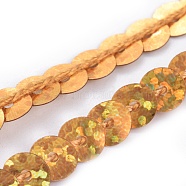 Plastic Paillette/Sequins Chain Rolls, Goldenrod, 6x0.8mm, about 5yards/card(PVC-WH0005-01E)