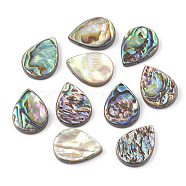 Abalone Shell/Paua Shell Beads, teardrop, Colorful, 18x13x3mm, Hole: 1mm(SHEL-T005-02)