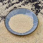 MIYUKI Delica Beads, Cylinder, Japanese Seed Beads, 11/0, (DB1560) Opaque Cream Luster, 1.3x1.6mm, Hole: 0.8mm, about 10000pcs/bag, 50g/bag(SEED-X0054-DB1560)