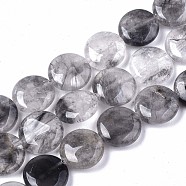 Natural Cloudy Quartz Beads Strands,  Flat Round, 14x4~5mm, Hole: 1mm, about 29pcs/strand, 15.94 inch(40.5cm)(G-S359-226)